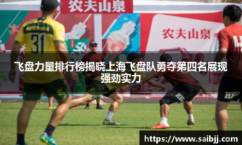 飞盘力量排行榜揭晓上海飞盘队勇夺第四名展现强劲实力