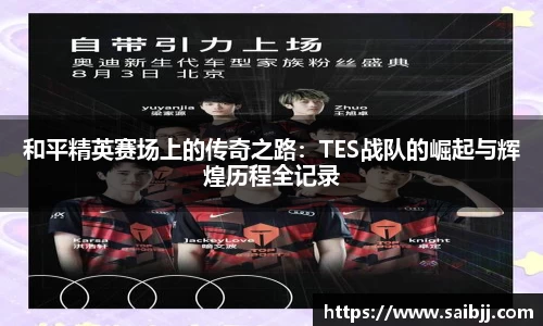 和平精英赛场上的传奇之路：TES战队的崛起与辉煌历程全记录
